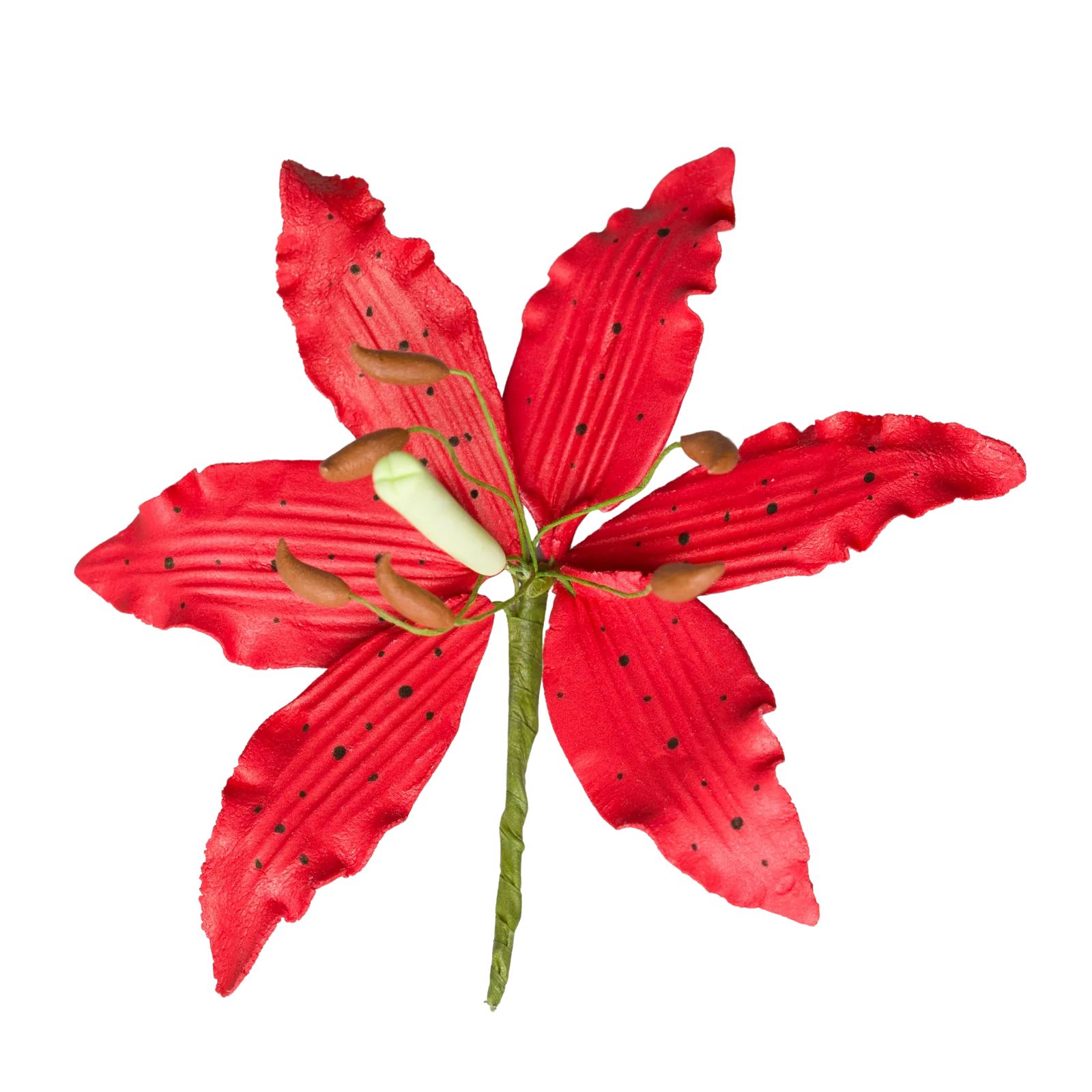 162- 4' Lily (Lilium) - Red
