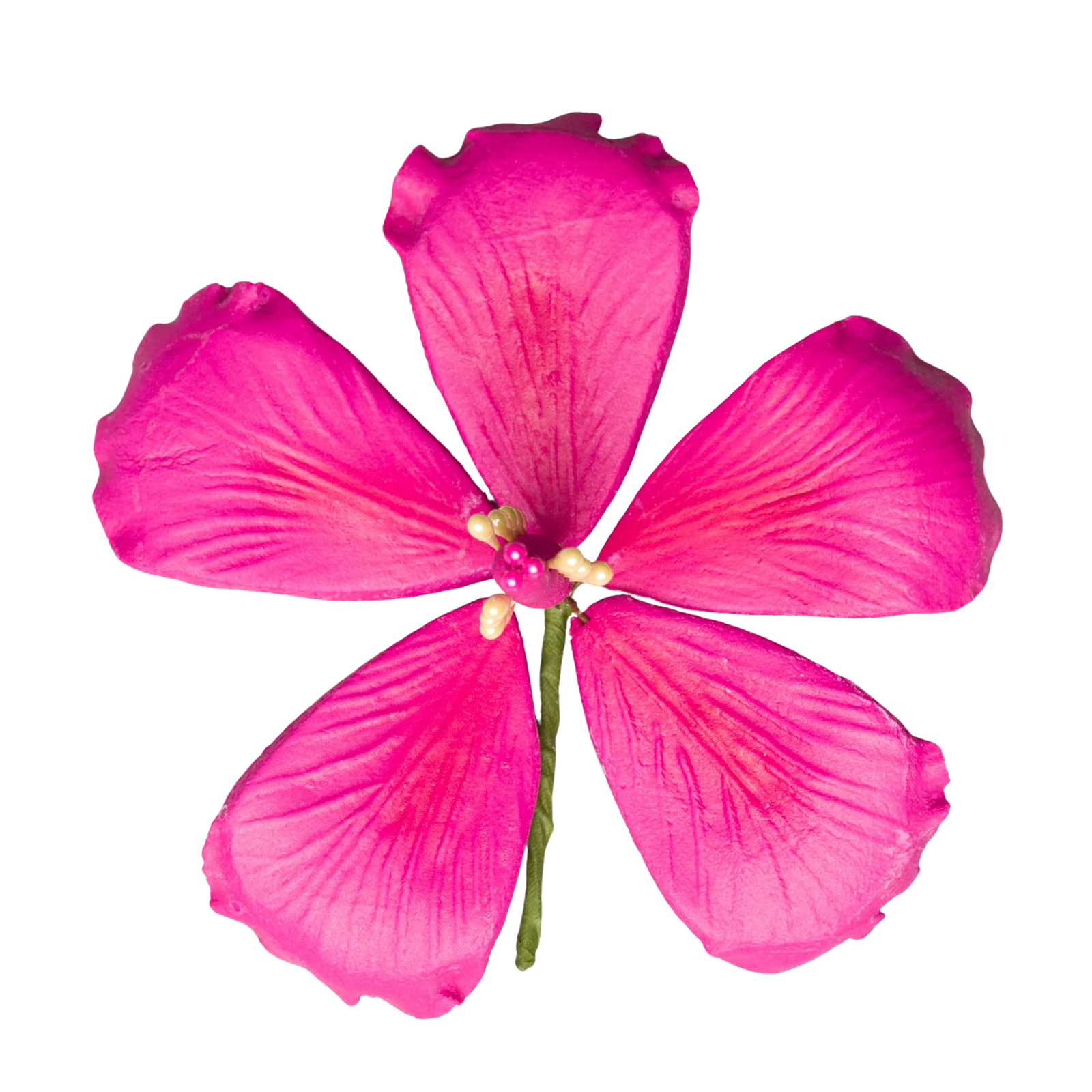 226 - Hot Hibiscus 3.5'