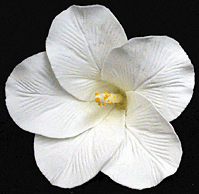 Hibiscus Gumpaste Flowers