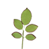 178- 3' Rose Leaf Filler - Green