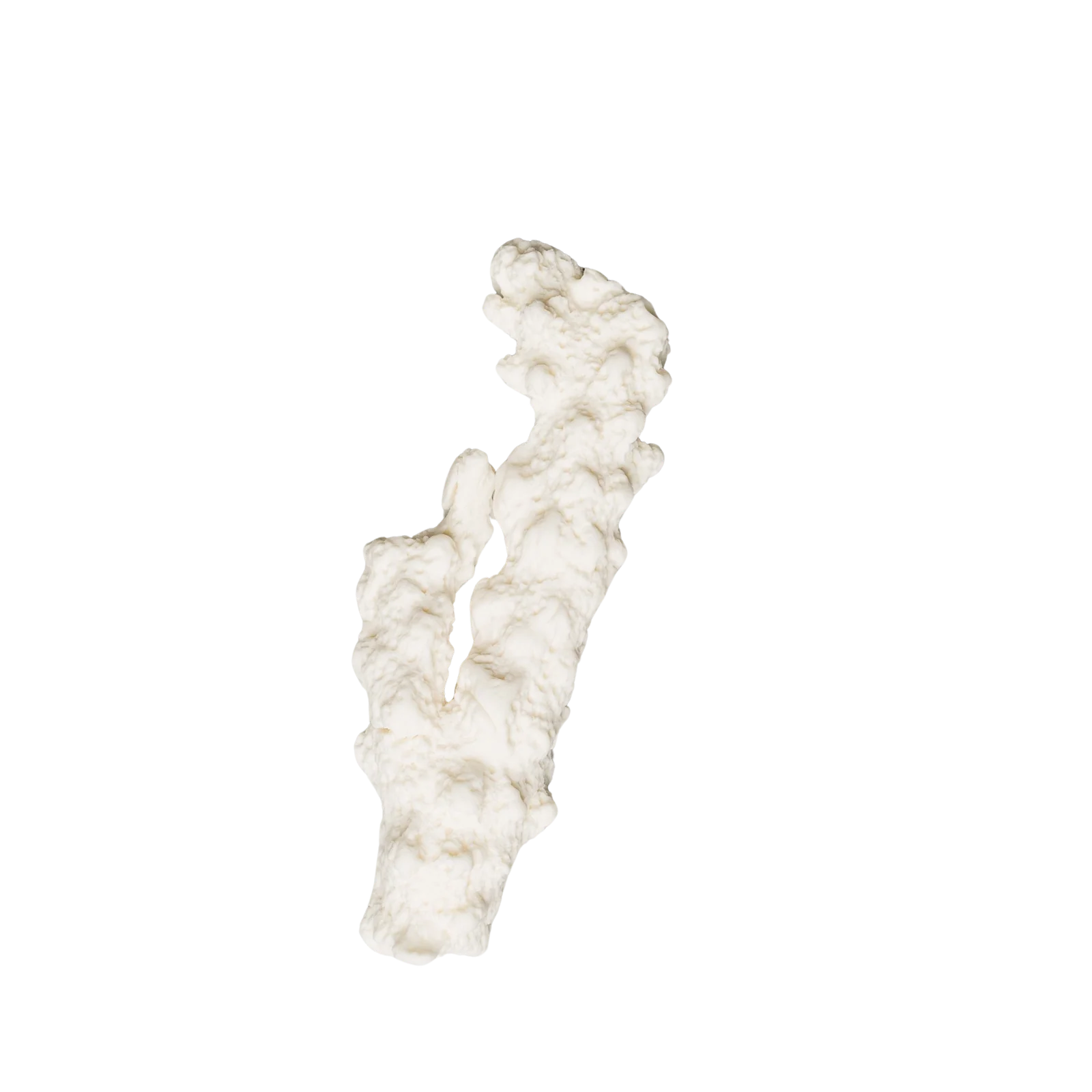 227 - Large Coral 4'