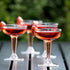 Champagne Glasses PartyE 40ct