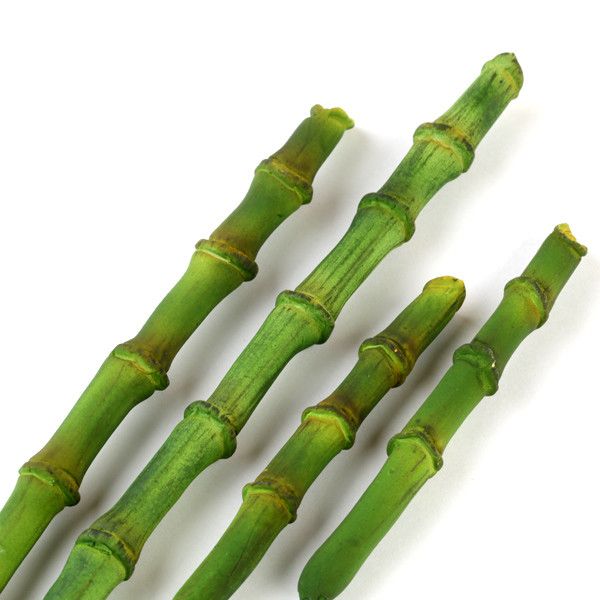 138- Bamboo Stalks Sm & Lg