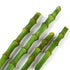 138- Bamboo Stalks Sm & Lg