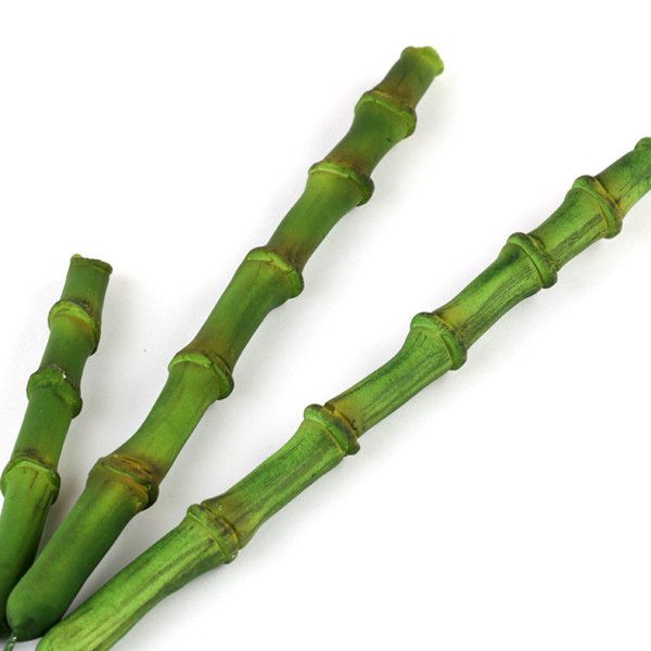 138- Bamboo Stalks Sm & Lg