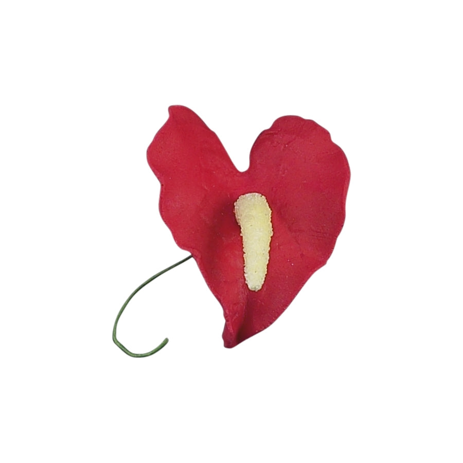 anthurium pistil Anthurium Red with Yellow Pistil #83