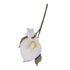 Calla Lily With Wire