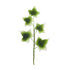 130- 5 Leaf Ivy Spray Moss