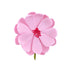 Lotus Flower White, Red, Pink, Or Lavender