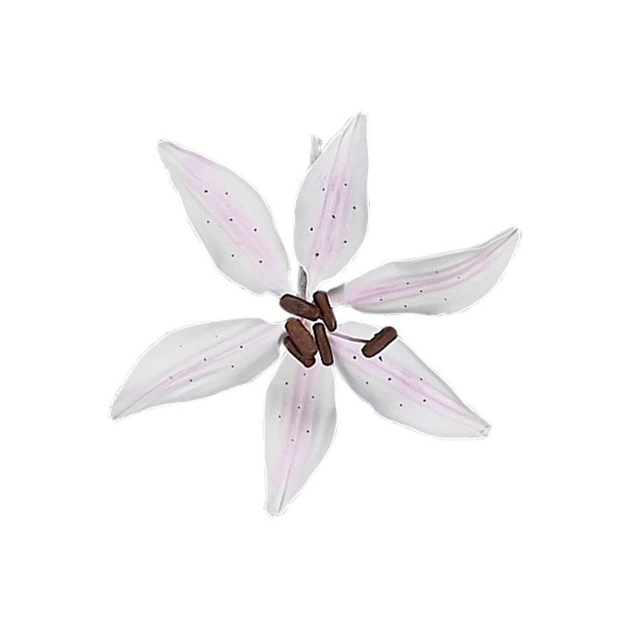 Stargazer Lily Pale Pink