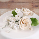 Small Dog Rose Spray