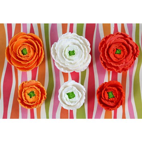 Ranunculus Flowers Deep Orange, Orange, and White #42