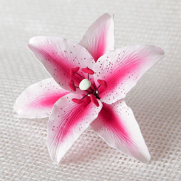 flower star lily 159- Stargazer Lily Hot Pink – Bake Supply Plus