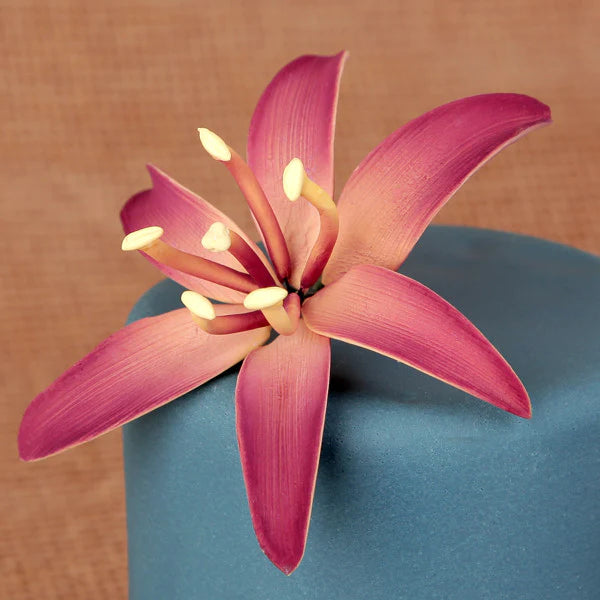 wild lily flower Wild Lily Medium Mauve #57