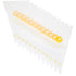 Wilton 16' Disposable Bags 12Pk