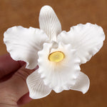 Cattleya Orchid White Gumpaste Flowers
