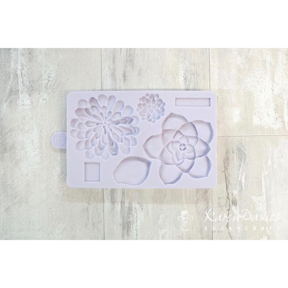 Karen Davies Succulent Mold