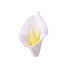 Calla Lily With Wire