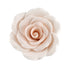 Gumpaste Rose XL 2.5'