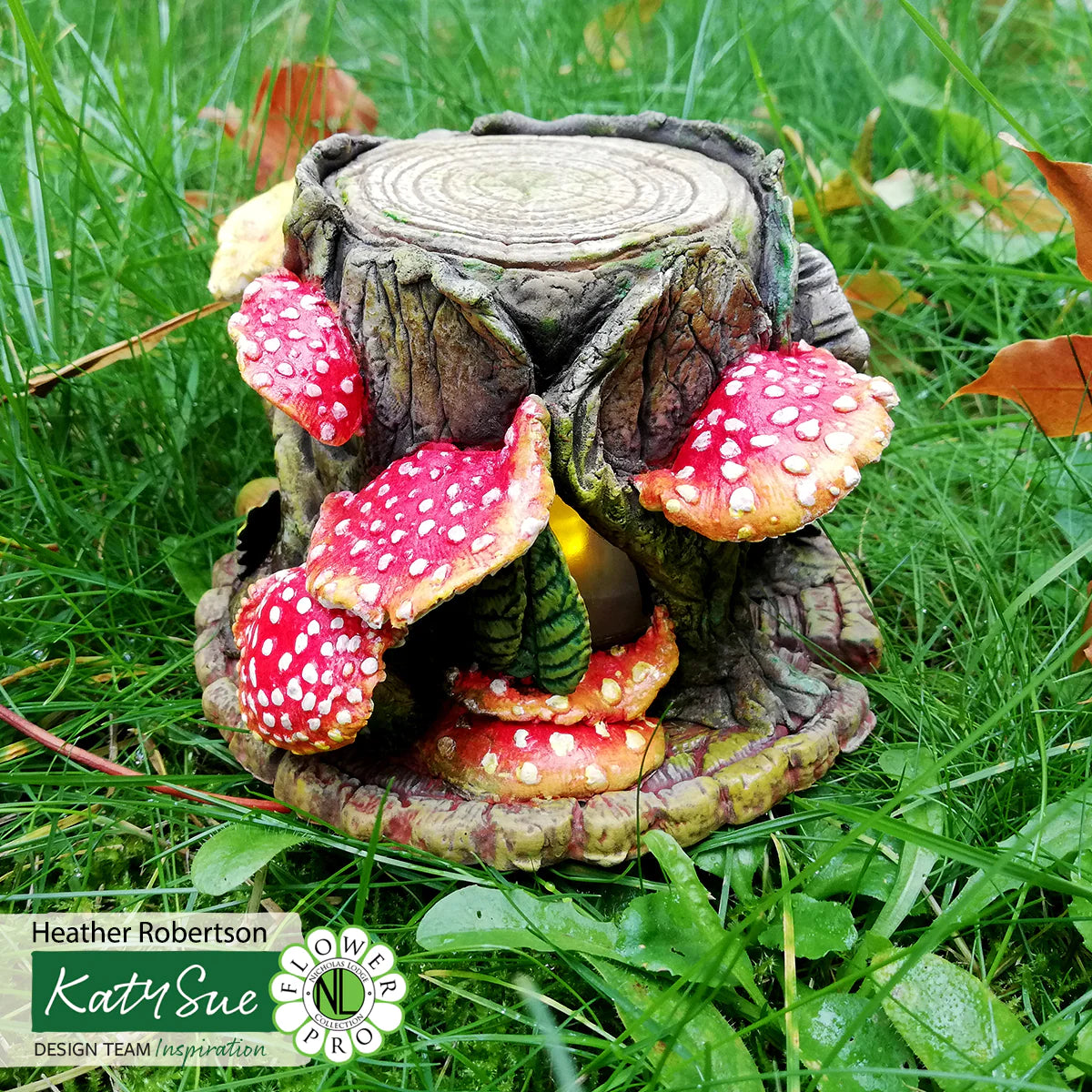 Toadstools & Mushroom Mold Katy Sue