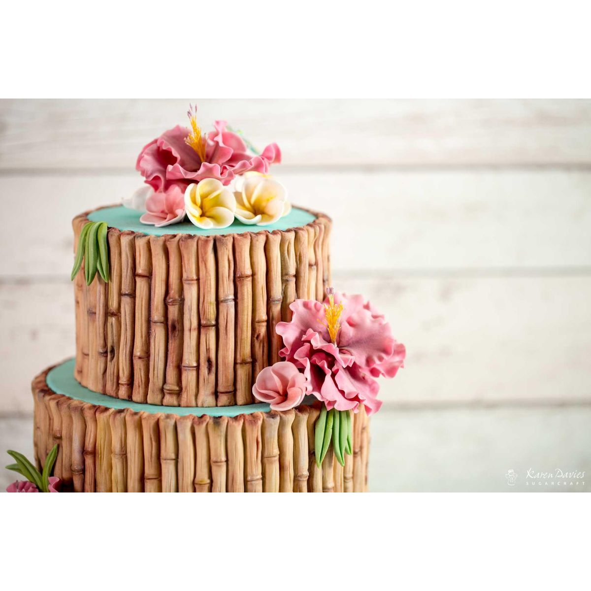 Karen Davies Bamboo by Alice Mold