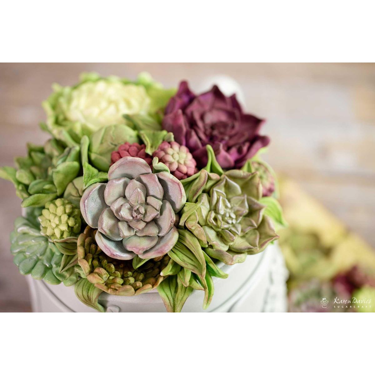 Karen Davies Succulent Mold