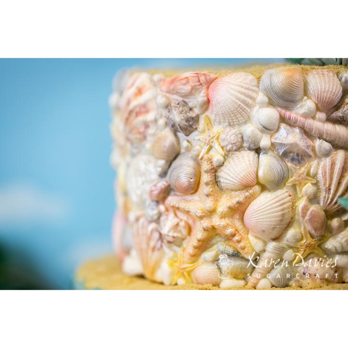 Karen Davies Sugar Shells 2018 Mold