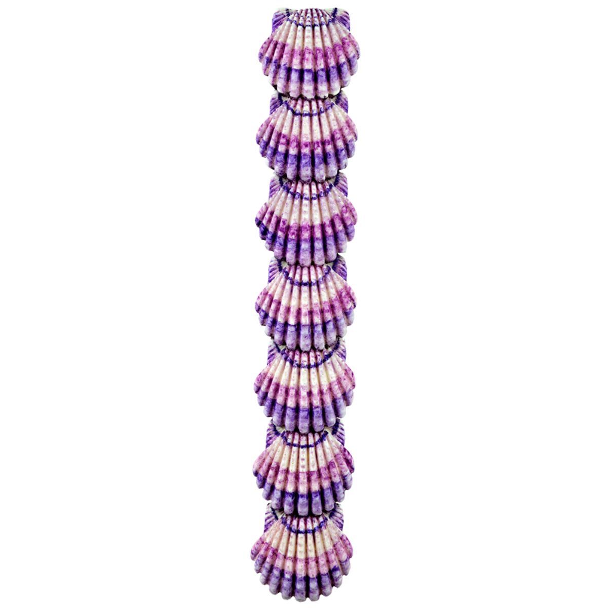 Seashell Border Mold - Bake Supply Plus