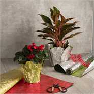Lion Avalon Cake Board Wrapping Foil 20' Roll