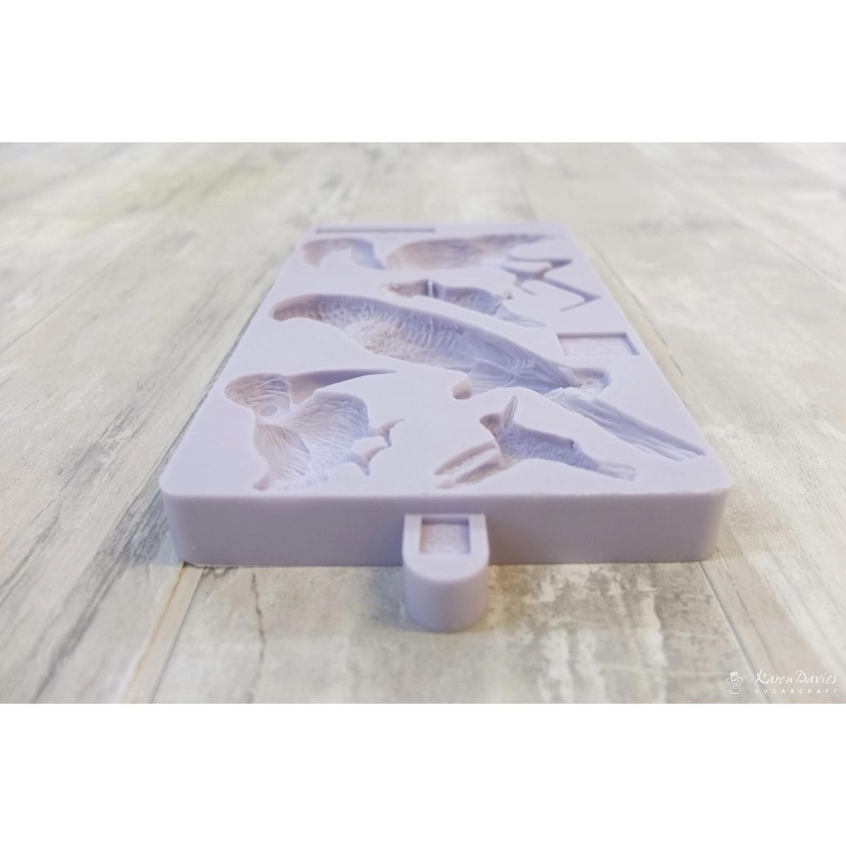 Karen Davies Tropical Birds Mold