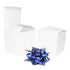 Box #38 - 4 x 4 x 4 White Cube Mug Box