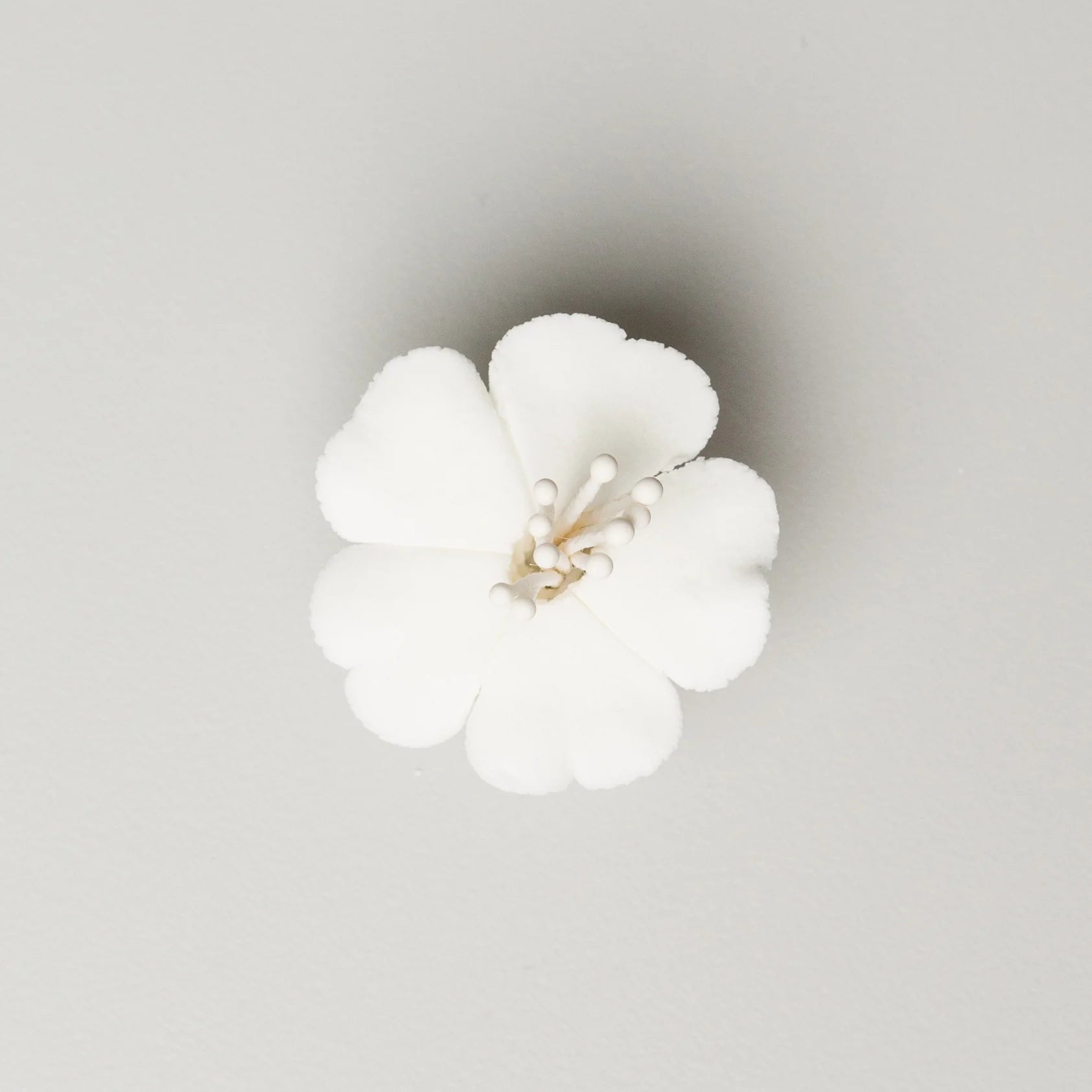 Cherry Blossom 1.25" White #70