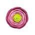 208- 3' Ranunculus - Purple