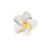 211- 2.5" Hibiscus - White