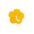 215YL- 1.75' Royal Hibiscus - Yellow