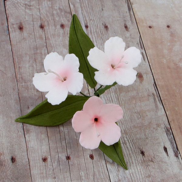 153- Dianthus Bunches- Pink