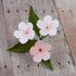 153- Dianthus Bunches- Pink