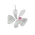 Phaelanopsis Butterfly Orchid White #60