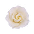 148IV- Med Formal Rose On A Wire - Ivory