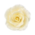 147IV- Large Formal Rose On A Wire Ivory