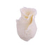 150IV- Formal Rosebud On A Wire - Ivory