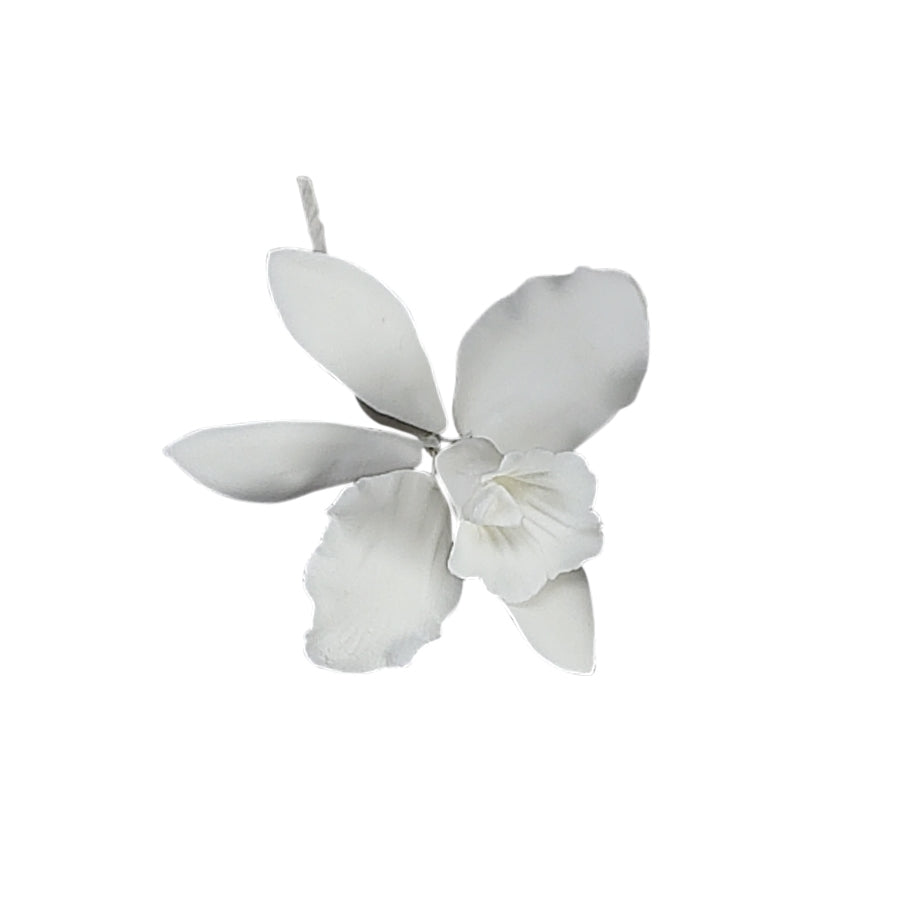 Cattleya Orchid White Gumpaste Flowers