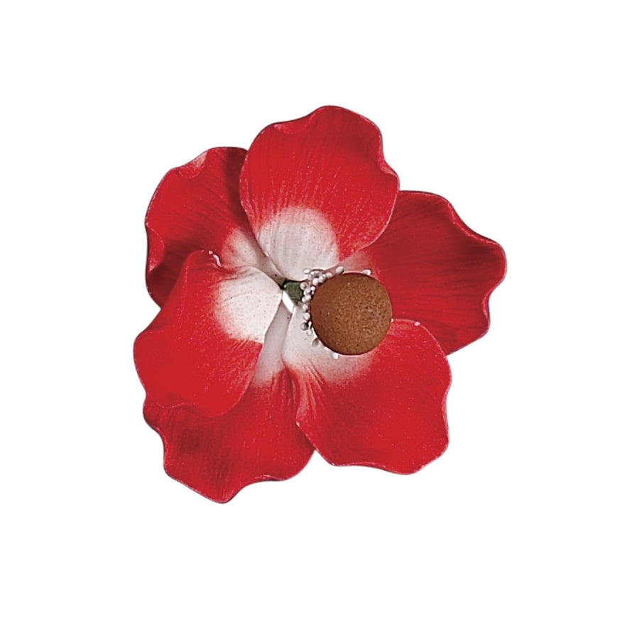 Poppy Anemone Red #99