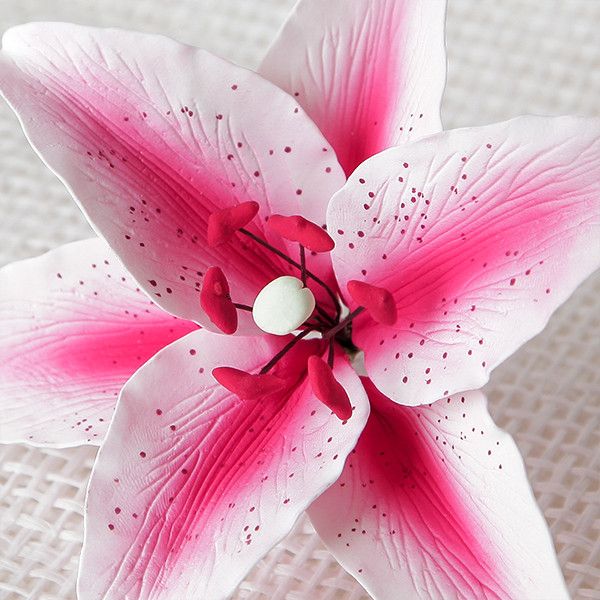 159- Stargazer Lily Hot Pink