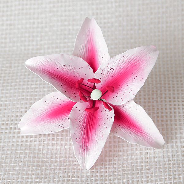 159- Stargazer Lily Hot Pink