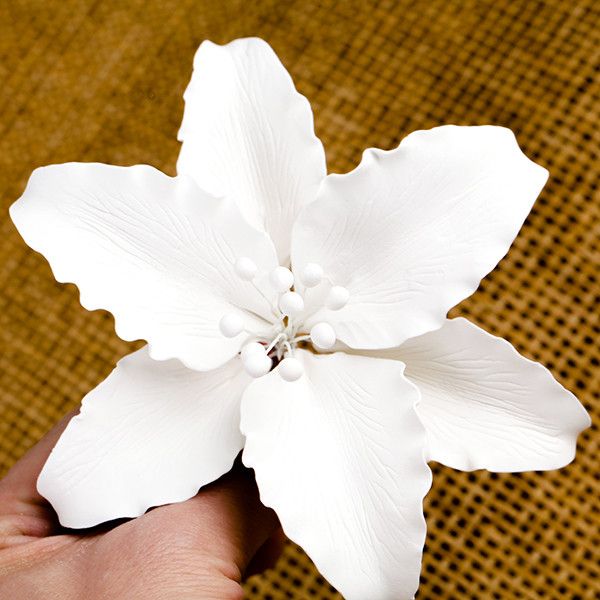 158- Lily Casablanca (White)