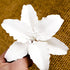 158- Lily Casablanca (White)