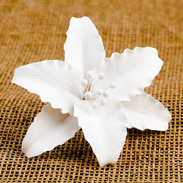 158- Lily Casablanca (White)
