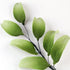 94- 7 Petal Lily Leaves