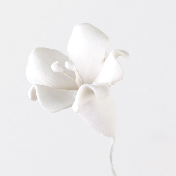 134- Bell Flower White